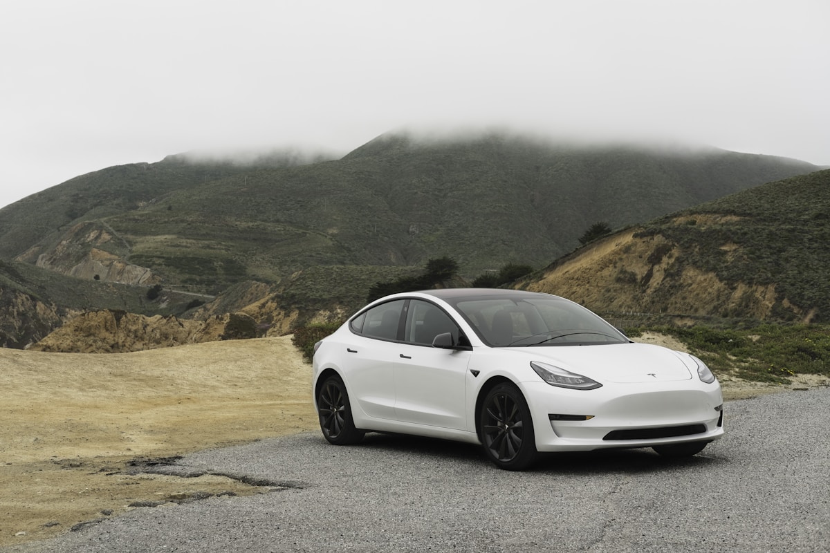 Model 3 variant